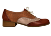 Lenox - Oxfords