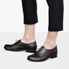 Lenox - Oxfords